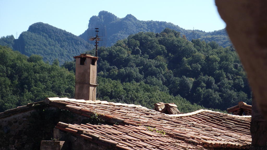Can Salgueda Santa Pau Værelse billede